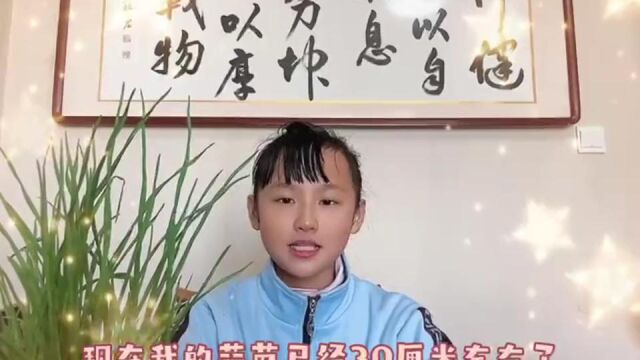 芜湖市小洲中心小学叶伊舟同学种植分享