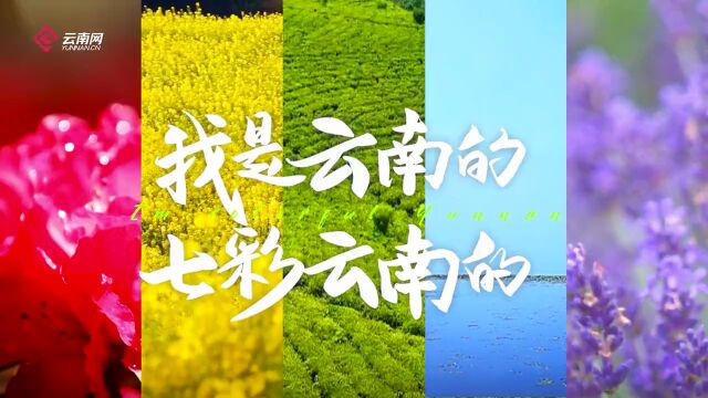 关注 | 《我是云南的》“上新”中英文升级版!一起聆听这份缤纷告白