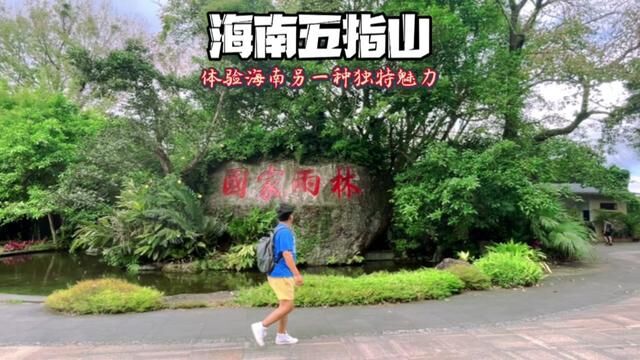 你印象中的海南只有椰风海韵?#五指山之光 #雨林与您云上好时光