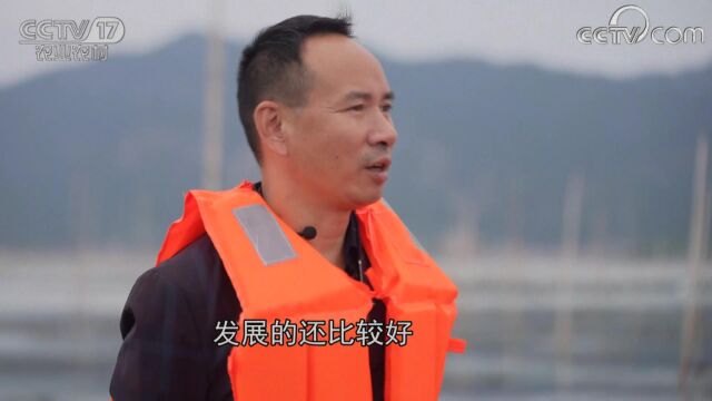 央视CCTV17《我的美丽乡村》福建连江县浦口镇中麻村,渔歌唱晚耕耘大海