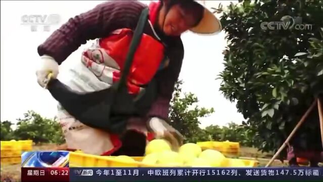 【媒体看贺州】中央广播电视总台这样报道贺州