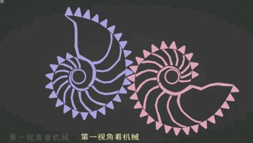“鹦鹉螺”异形齿轮传动，非匀加速，看了会头晕