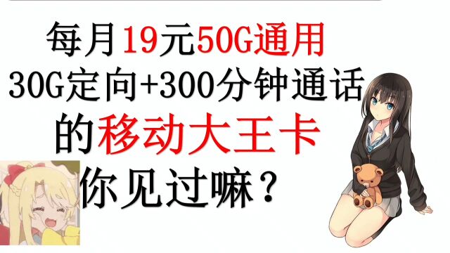 每月80g的大王卡你见过吗只要19元