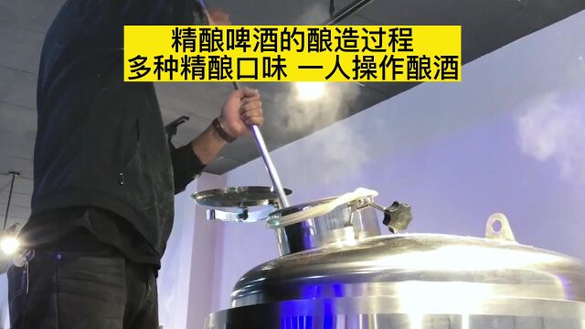 潍坊精酿啤酒设备厂家地址