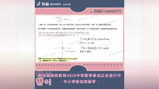 中小学新加坡留学掬英教育AEIS中学数学集训正在进行中互相垂直