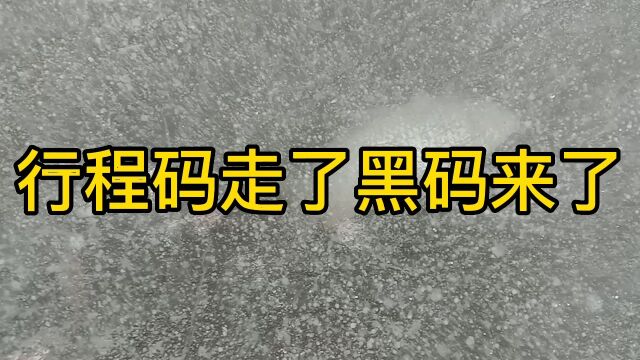 广东推行粤居码黑龙江推行黑码,你喜欢什么马