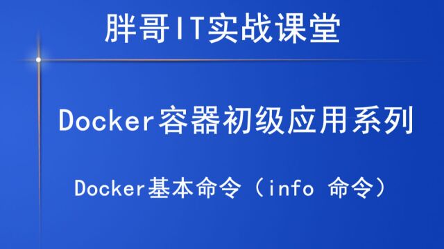 Docker基本命令(info 命令)下2