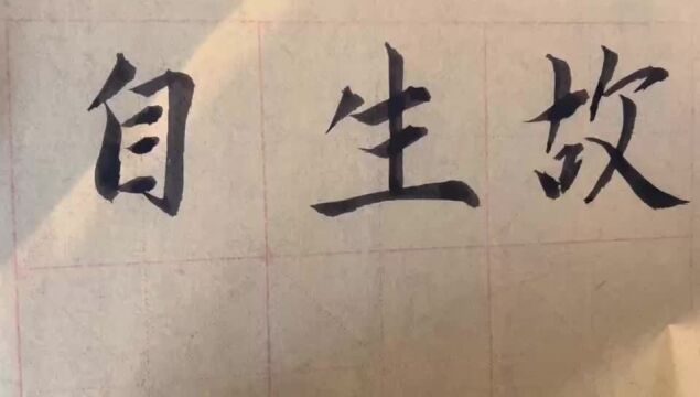 海滩毛笔字天天练习生字的写法