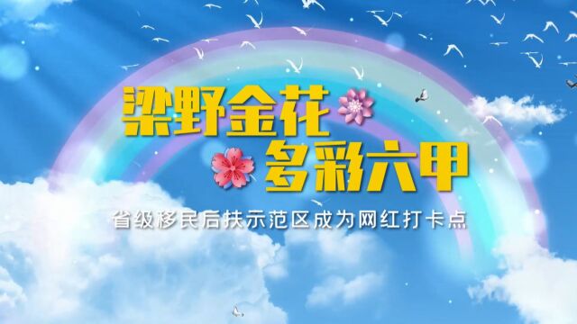 龙岩武平:“梁野金花ⷥ䚥𝩮Š六甲” 省级移民后扶示范区成为网红打卡点