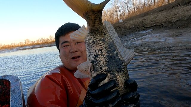 老三大战山东清淤池,这么大“牛尾巴”你们见过吗,真是太稀有了