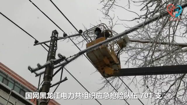 全力应对暴雪天气 国网黑龙江电力保电网稳定运行