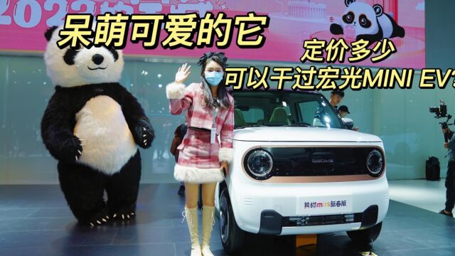 呆萌可爱的它,定价多少?可以干过宏光MINI EV?