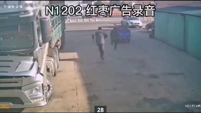 N1202 红枣广告词录音