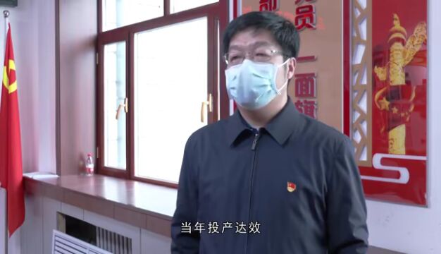 【学习贯彻市委十一届三次全会精神】绥芬河自贸片区:以自贸创新促产业结构不断完善 为建设现代化绥芬河贡献自贸力量