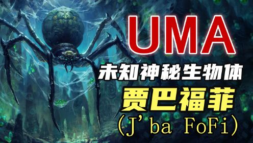 【UMA系列】第六期：刚果巨型蜘蛛，蜘蛛恐惧症慎入！