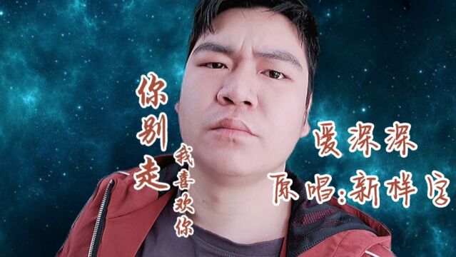 新样字《你别走我喜欢你》的背景故事,新年快乐