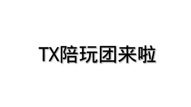 TX陪玩团蓝羽招人啦!宝子们走过路过别错过