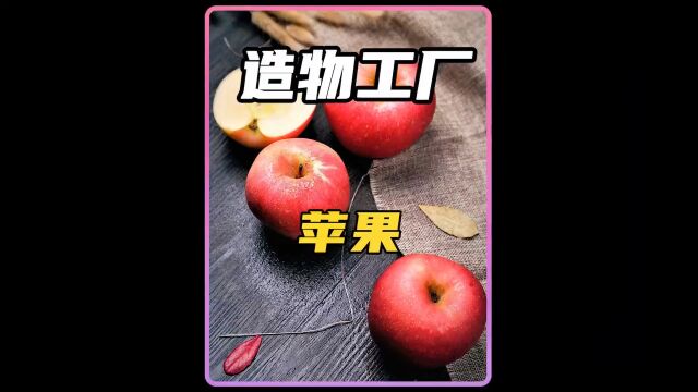 造物工厂—苹果