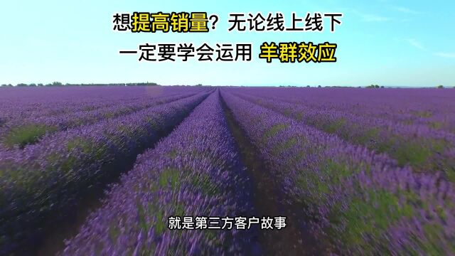 想提高销量?无论线上线下一定要学会运用羊群效应(横版)