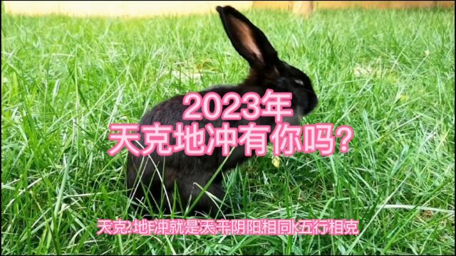 2023年天克地冲有你吗?