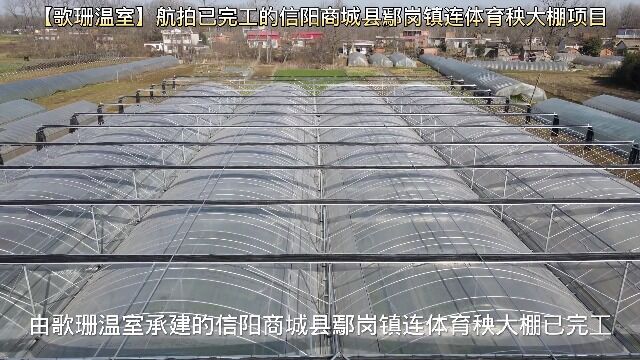 【歌珊温室】航拍完工后的信阳商城县鄢岗镇连体育秧大棚