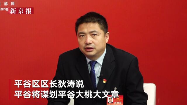 访谈间|平谷区区长狄涛:启动升建国家农高区 打造乡村振兴样板