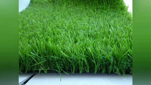 人工草坪多少钱一平方米