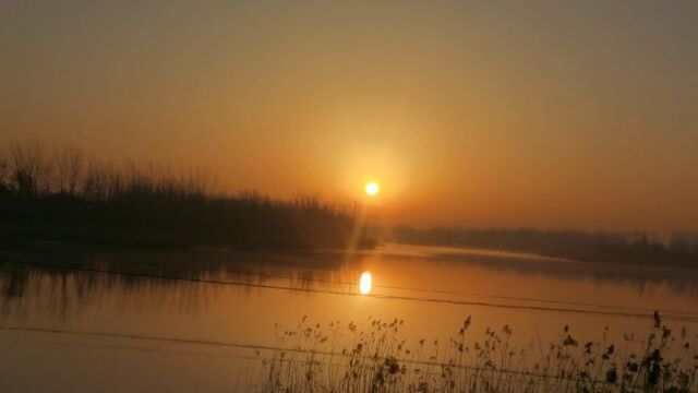 我们这里惠济河的早晨美景,还要花几亿建湿地公园