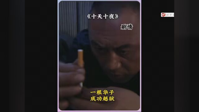 一根华子就可以成功逃脱 #十天十夜