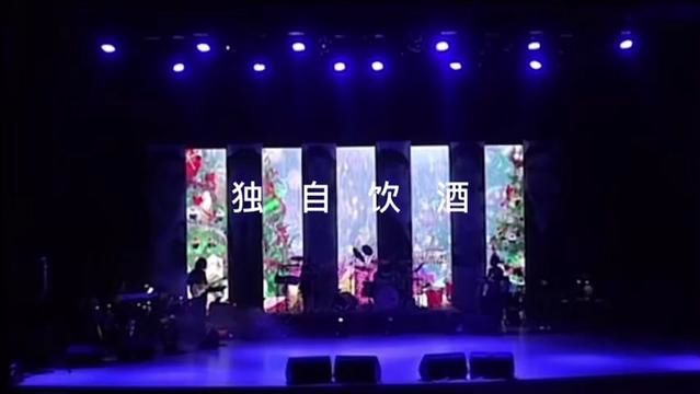 日本国宝级歌姬五代夏子演唱歌曲 《独自饮酒》歌声柔情动人