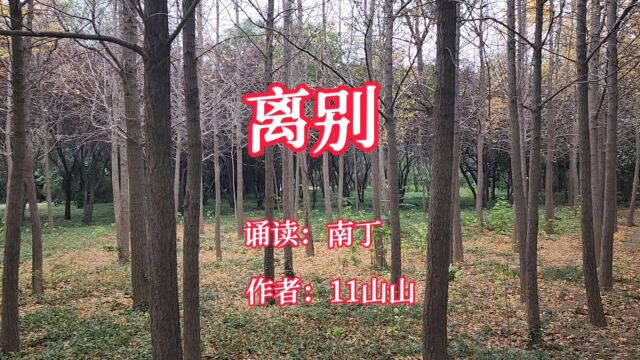 经典散文《离别》诵读:南丁 作者:11山山