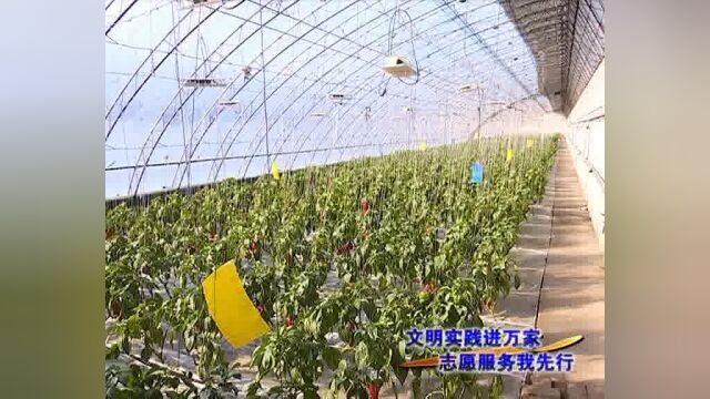 奢爱农业:礼遇志愿者 让爱与温暖双向流动