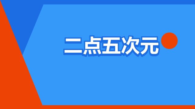 “二点五次元”是什么意思?