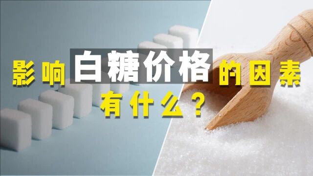 影响白糖价格的因素有什么?