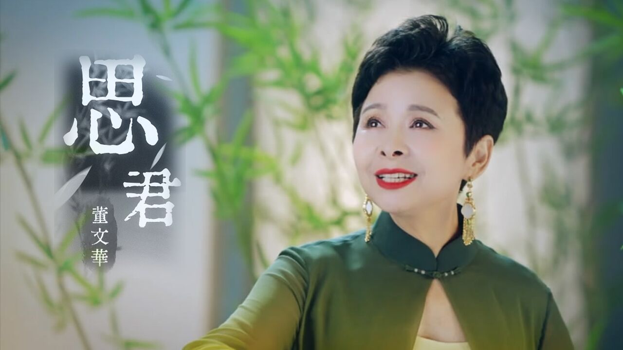 董文华-《思君》,日日思君不见君,只愿君心似我心!