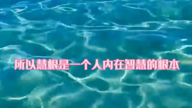 什么是慧根?我们累生累世所发出的善念,善行… #心灵心语 #励志人生感悟 #人性智慧 #人生感悟正能量