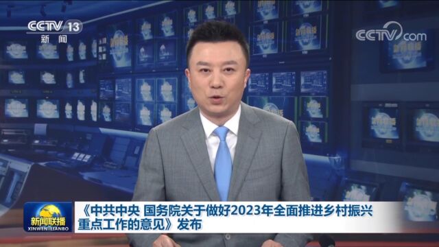 《中共中央 国务院关于做好2023年全面推进乡村振兴重点工作的意见》发布