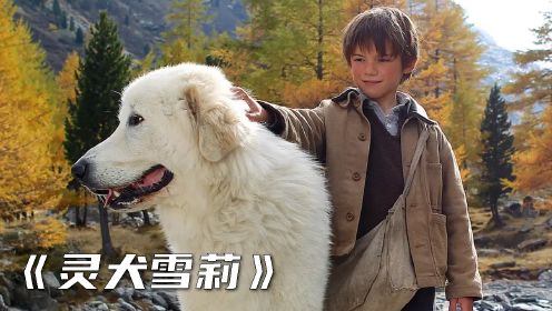 阿尔卑斯山下的男孩与狗狗。