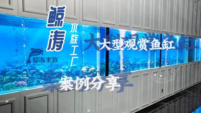 云南昆明鲸涛海鲜池工程水族工厂:大型观赏鱼缸定制建造案例分享