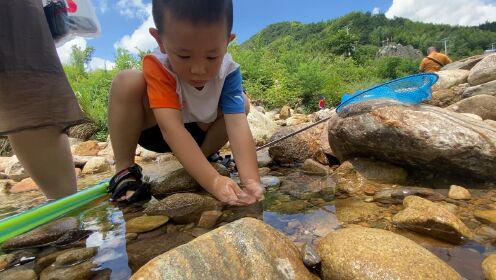 捞鱼_高清1080P在线观看平台_腾讯视频