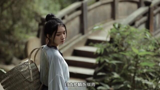 MV《此情往何寄》伊雅