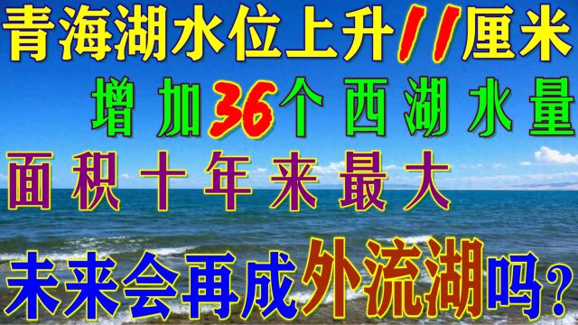 青海湖水位上升11厘米,面积十年来最大,未来会重新成为外流湖吗