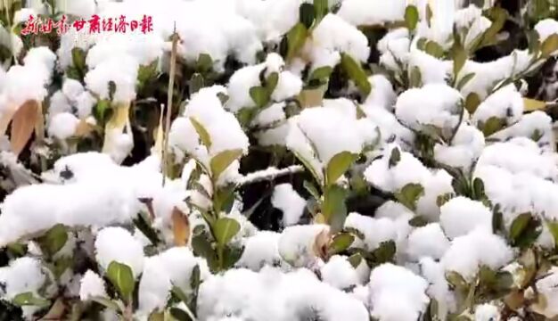 甘肃迎来大范围降雪天气