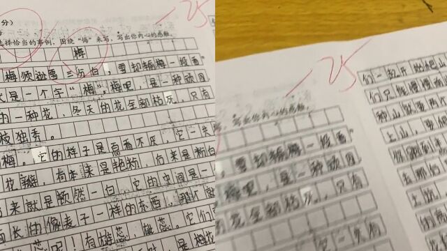 小学生满分作文跑题 老师阅卷后含泪打5分:把“悔”看成“梅”