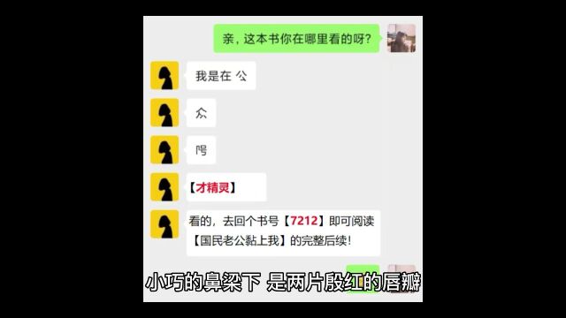 《国民老公黏上我》林琴皇甫晏小说全章节无删减