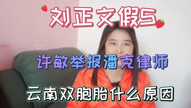 许敏举报潘克律师?刘正文为什么假S?云南双胞胎遇难的原因!