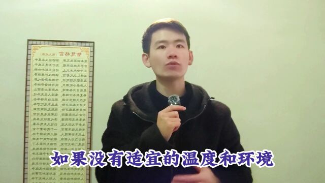 昌言昌语:家庭什么最重要?