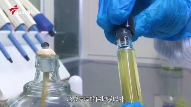 广东新焦点发布广东电视台播出——深圳市肽素生物技术有限公司