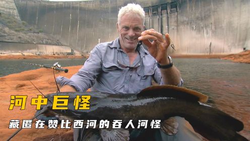 非洲发现吞人巨鲶，杰里米在鳄鱼和河马的面前钓鱼