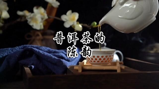 普洱茶的陈韵#普洱茶 #爱喝茶的关注我